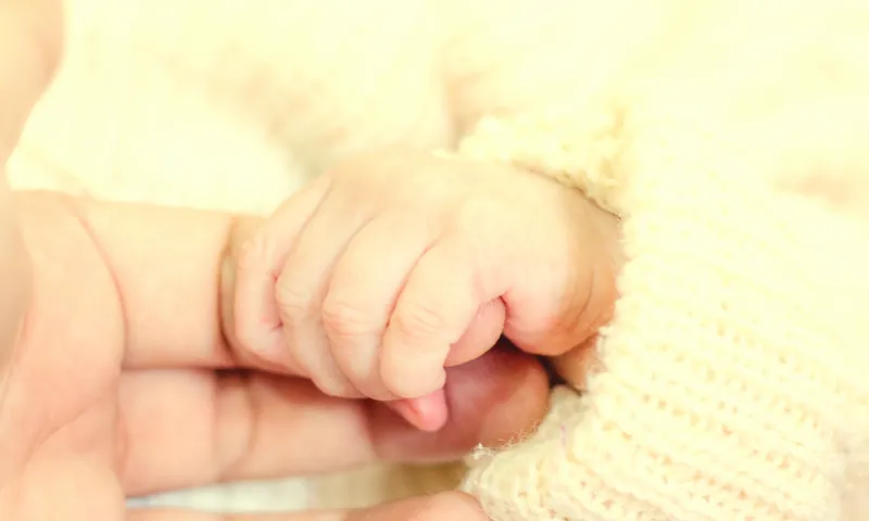 Beginning of life — newborn hand held by an adult